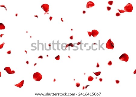 Red roses petals flying romance and love overlay background