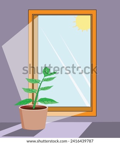 Glass mirror with potted plant in front and reflection of sun on it