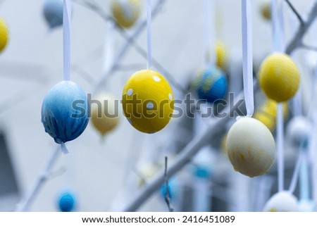Colorful handmade egges for easter in branches outdoor. Decorating trees with hanging eastereggs in city street. Tradition holiday on christianity religion. Symbol of resurrection to new life. Royalty-Free Stock Photo #2416451089