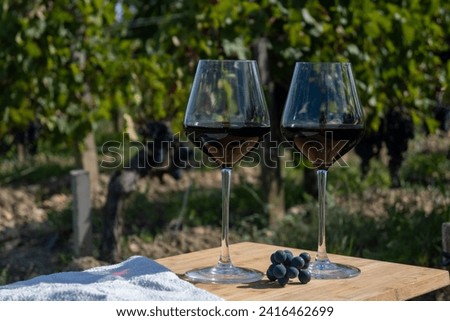 Tasting of red Bordeaux wine, Merlot or Cabernet Sauvignon red wine grapes on cru class vineyards in Pomerol, Saint-Emilion wine making region, France, Bordeaux Royalty-Free Stock Photo #2416462699