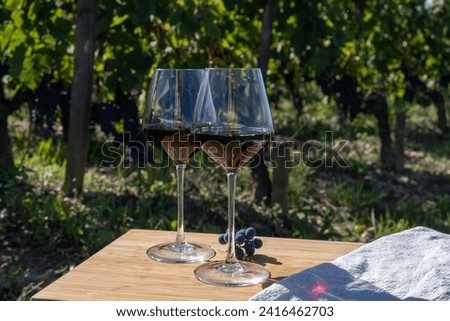 Tasting of red Bordeaux wine, Merlot or Cabernet Sauvignon red wine grapes on cru class vineyards in Pomerol, Saint-Emilion wine making region, France, Bordeaux Royalty-Free Stock Photo #2416462703