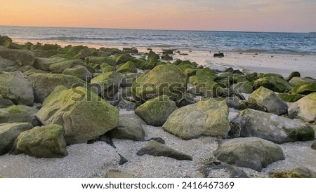 green stones near ocean beach in ras al khaimah Royalty-Free Stock Photo #2416467369