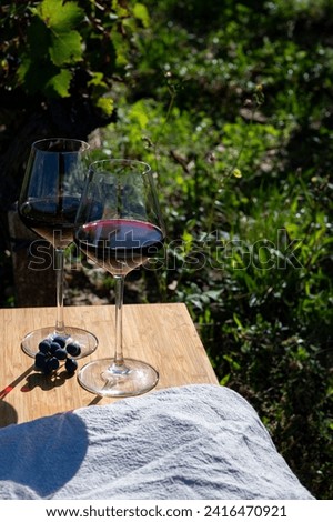 Tasting of red Bordeaux wine, Merlot or Cabernet Sauvignon red wine grapes on cru class vineyards in Pomerol, Saint-Emilion wine making region, France, Bordeaux Royalty-Free Stock Photo #2416470921