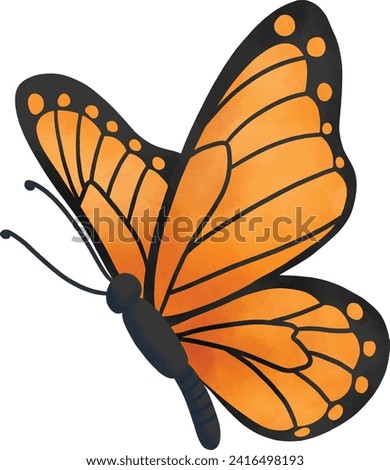 Orange Butterfly Side View Illustration