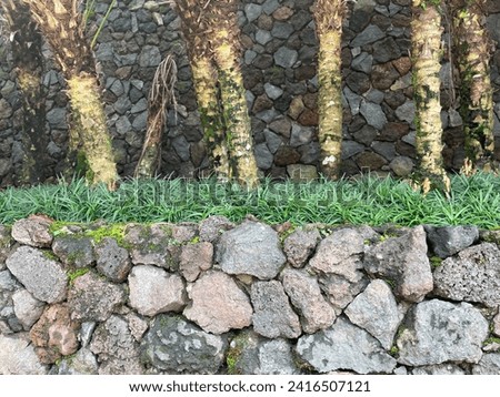 Stacked stone wall background with palm plant stems as garden decoration. natural garden concept