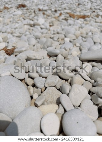 Decorative small white stone pebbles with brown leaves. Background, texture, banner