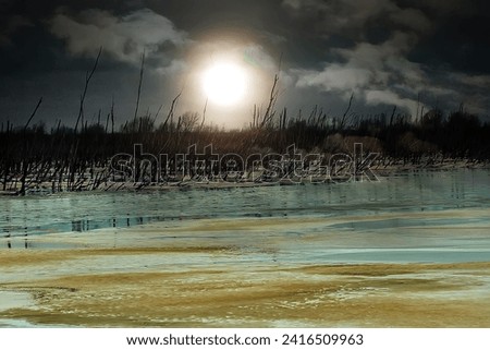 Winter views of lowland moor with yellow rotten ice, dry trees and black clouds with low dusky sun (mid winter day). Old shallow channels, waterlogging Royalty-Free Stock Photo #2416509963