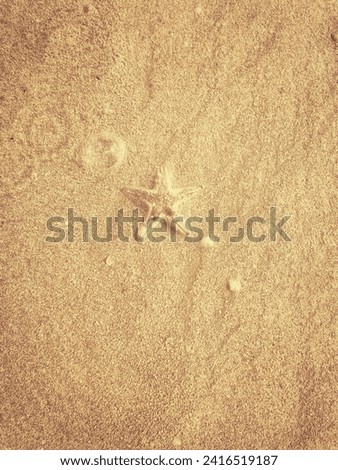 Background picture of a star fish on golden sand