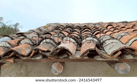 A roof made of aged clay tiles in Ixcateopan de Cuauhtémoc. The tiles are arranged in an overlapping pattern and exhibit various shades of brown and red. There are lichens and moss