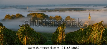 Sunset landscape and smog in bordeaux wineyard, Loupiac, France, Europe Royalty-Free Stock Photo #2416548887