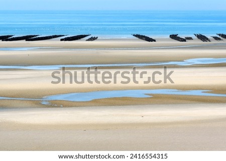 Poles of mussels in Quend-plage. Hauts-de-France region
