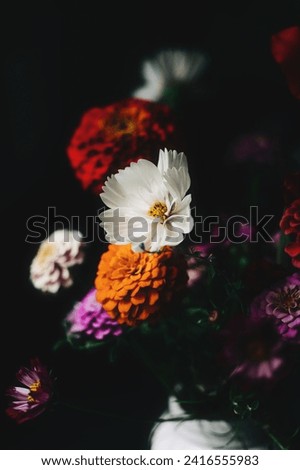 Colorful bouquet of flowers on dark background