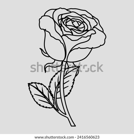 Rose. A thin line. Vector on a grey background