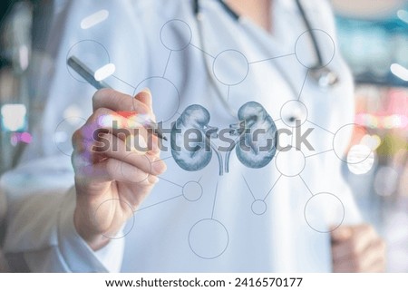 The doctor draws the structure of the kidney treatment on a vertical screen. Doctor writing on virtual screen. Healthcare and medical concept. Double exposure