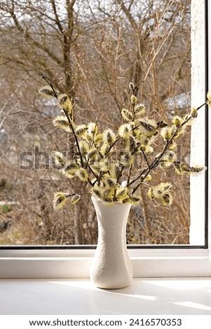 Holiday concept with flowers, spring floral arrangement, still life, banner with delicate willow flowers on a sunny window. Greeting card for Easter, Mother's Day, Happy Birthday, Wedding, 