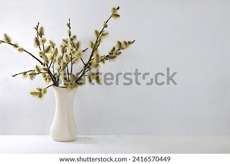 Holiday concept with delicate willow flowers, spring flower arrangement, still life or banner with place for text. Greeting card for Easter, Mother's Day, Happy Birthday, Wedding, selective focus