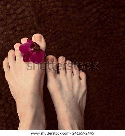 Caucasian female foot model with purple orchid between toes, resting on brown shag carpet