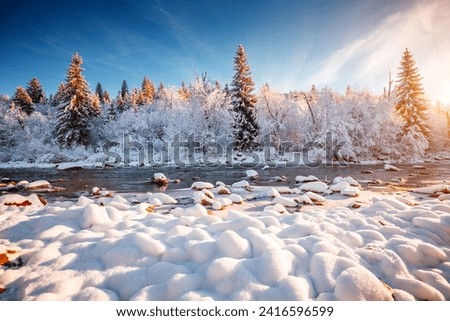 Gorgeous view of a calm river with snow-covered stones on a frosty day. Location place Carpathian mountains, Ukraine, Europe. Image of wilderness area. Photo wallpapers. Discover the beauty of earth.