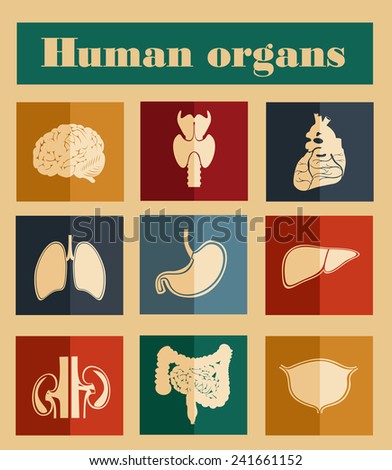 icons of human organs Flat design