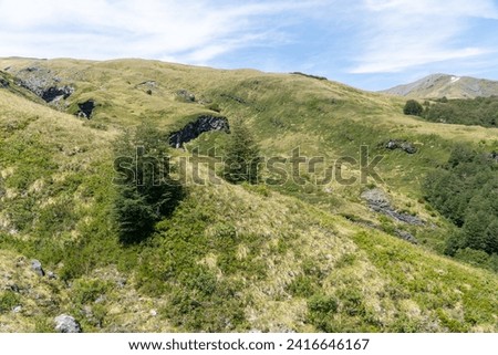 View of the green mountains in a summer day