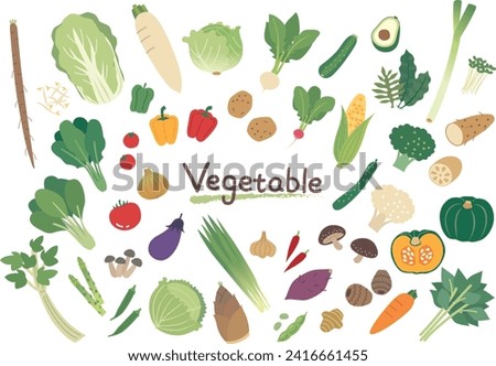 Set illustration of various types of vegetables Royalty-Free Stock Photo #2416661455