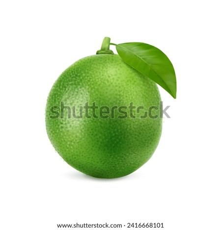 Realistic green ripe raw lime fruit, isolated whole citrus fruit. 3d vector vibrant tropical plant, exudes freshness, its smooth leaf and textured shiny skin concealing zesty citric pulp within Royalty-Free Stock Photo #2416668101