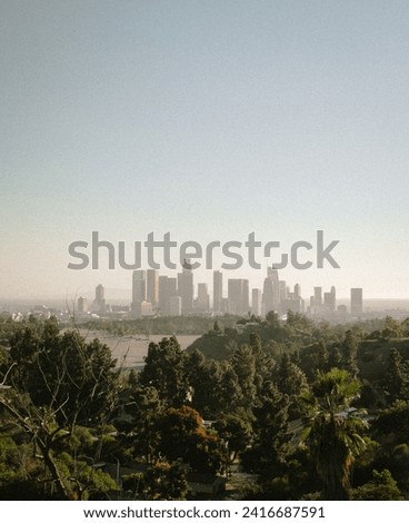 Los Angeles in its raw form
