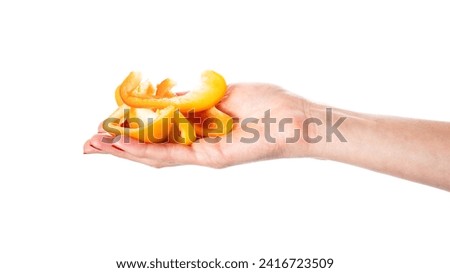 Orange sweet bell pepper slices in hand isolated on a white background. Woman holding bulgarian pepper. Healthy food and ingredients concept. High quality photo