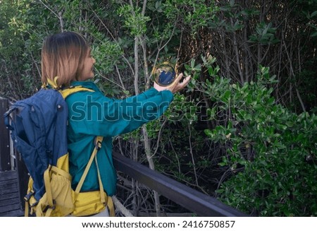 Woman standing on the wooden sidewalk in the  mangrove forest and hand holding global sustainable development environment icon on tree background,green tree and environment technology