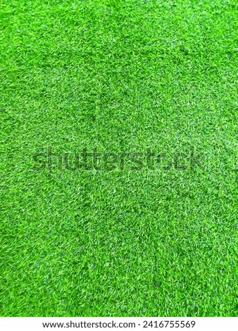 Photo with a green grass background