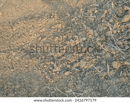 It is a picture of Indian soil and cultivated in this soil.
