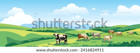 Panoramic view of spring landscape, countryside, cows grazing in a green meadow, vector illustration Royalty-Free Stock Photo #2416824911