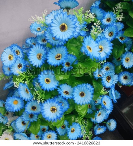 A close-up of stunning artificial blue Daisy flower vase(made of plastic and fabric) selective focus blurred background top ankle view hd hi-res jpg stock image photo for interior decoration.