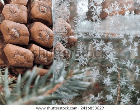 close-up photo of pinecone with ice flower pattern 