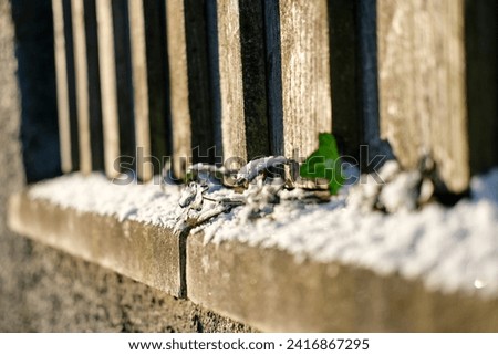 Snow settling on a shed roof during winter cold snap  Royalty-Free Stock Photo #2416867295