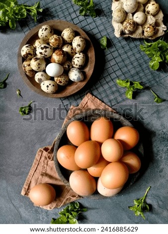 Quail eggs and brown chicken eggs on black background. Flat lay photography 