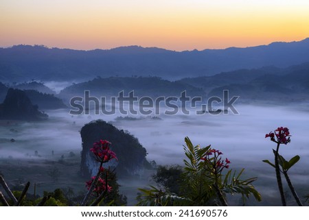 Misty morning on the top of the Phu Lanka mountain hills.