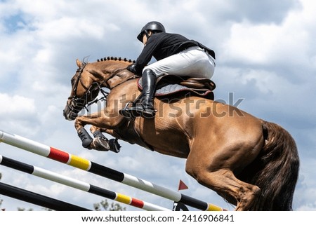 Equestrian Sports photo-themed: Horse jumping, Show Jumping, Horse riding.  Royalty-Free Stock Photo #2416906841