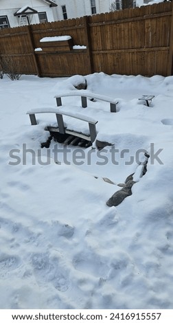 Snowfall. Winter scene captures a picturesque pond nestled under a blanket of pristine snow. The frozen surface glistens in the soft winter sunlight, creating a tranquil and enchanting atmosphere.
