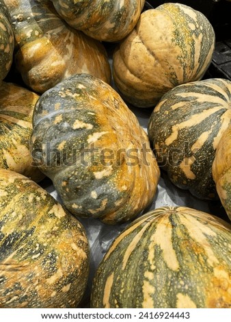 pumpkin in the fresh market