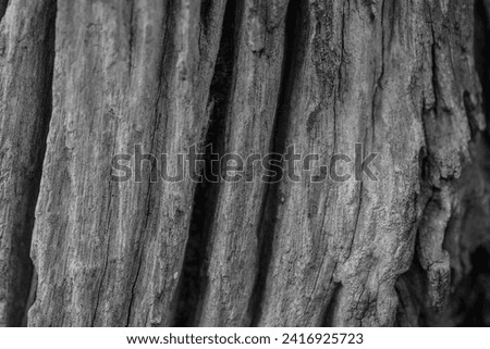 Old wood grain picture background