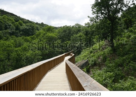 
Wooden walkway in the dense forest of the Mondego paths in Guarda, Portugal

                                Royalty-Free Stock Photo #2416926623