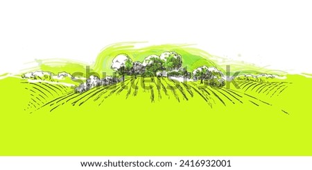 Green grass field on small hills. Meadow, alkali, lye, grassland, pommel, lea, pasturage, farm. Rural scenery landscape panorama of countryside pastures. Vector sketch illustration Royalty-Free Stock Photo #2416932001