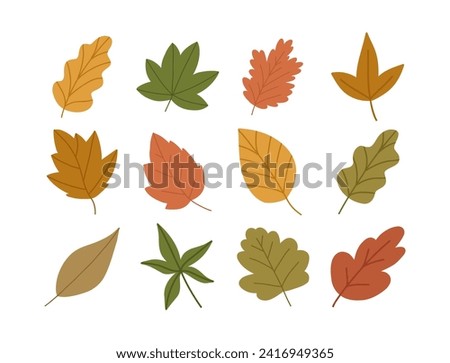 Set of hand drawn autumn leaves, cartoon flat vector illustration isolated on white background. Cute collection of fall foliage. Concepts of nature and plants.