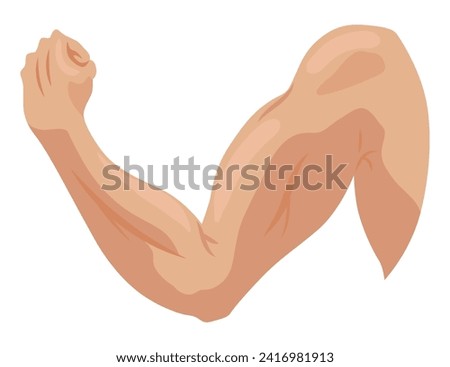 Male biceps muscles icons set. Sportsman arm with strong biceps. Vector symbol of healthy power. Athletic body with tense muscles hand isolated onwhite background Royalty-Free Stock Photo #2416981913