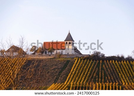 The Michaelsberg in Cleebronn, Zabergäu, Baden-Württemberg, Germany Royalty-Free Stock Photo #2417000125