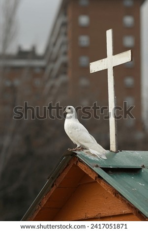 A white dove and a cross. Symbols of Christianity