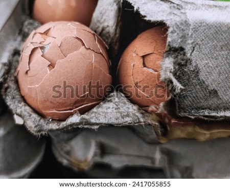 Two eggshells that are cracked, with the container torn