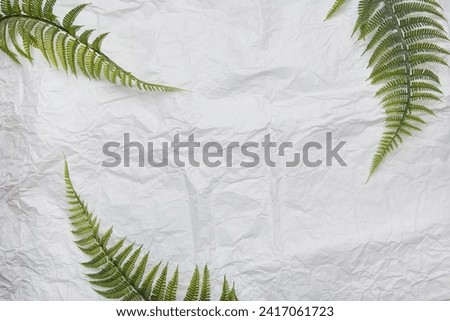 Botanical summer scene with green leaves with copy space