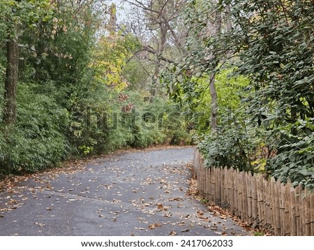 A walkway through a wooden area on an autumn day.